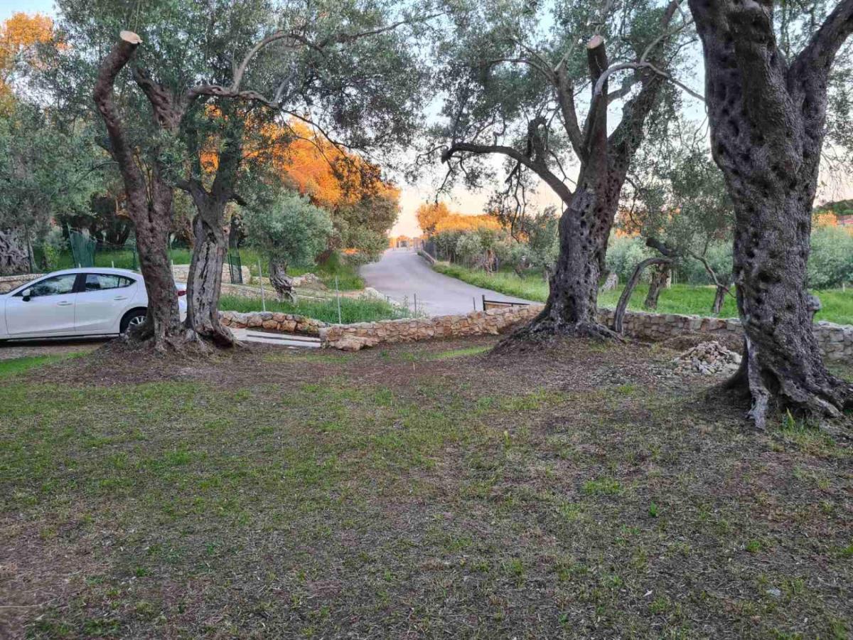 Olea Cottage Ülgün Dış mekan fotoğraf