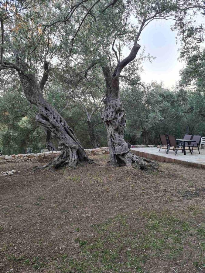 Olea Cottage Ülgün Dış mekan fotoğraf