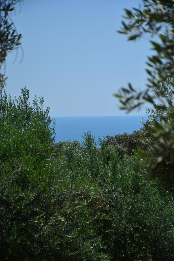 Olea Cottage Ülgün Dış mekan fotoğraf