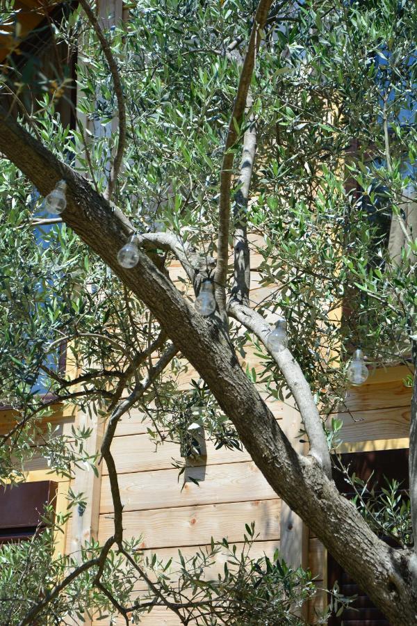 Olea Cottage Ülgün Dış mekan fotoğraf