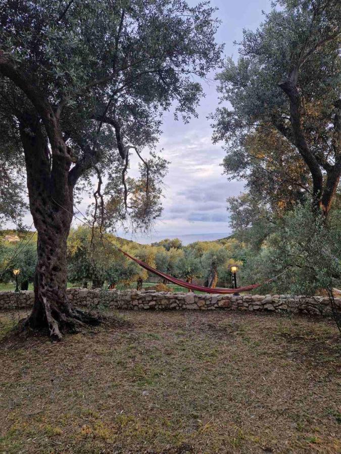 Olea Cottage Ülgün Dış mekan fotoğraf
