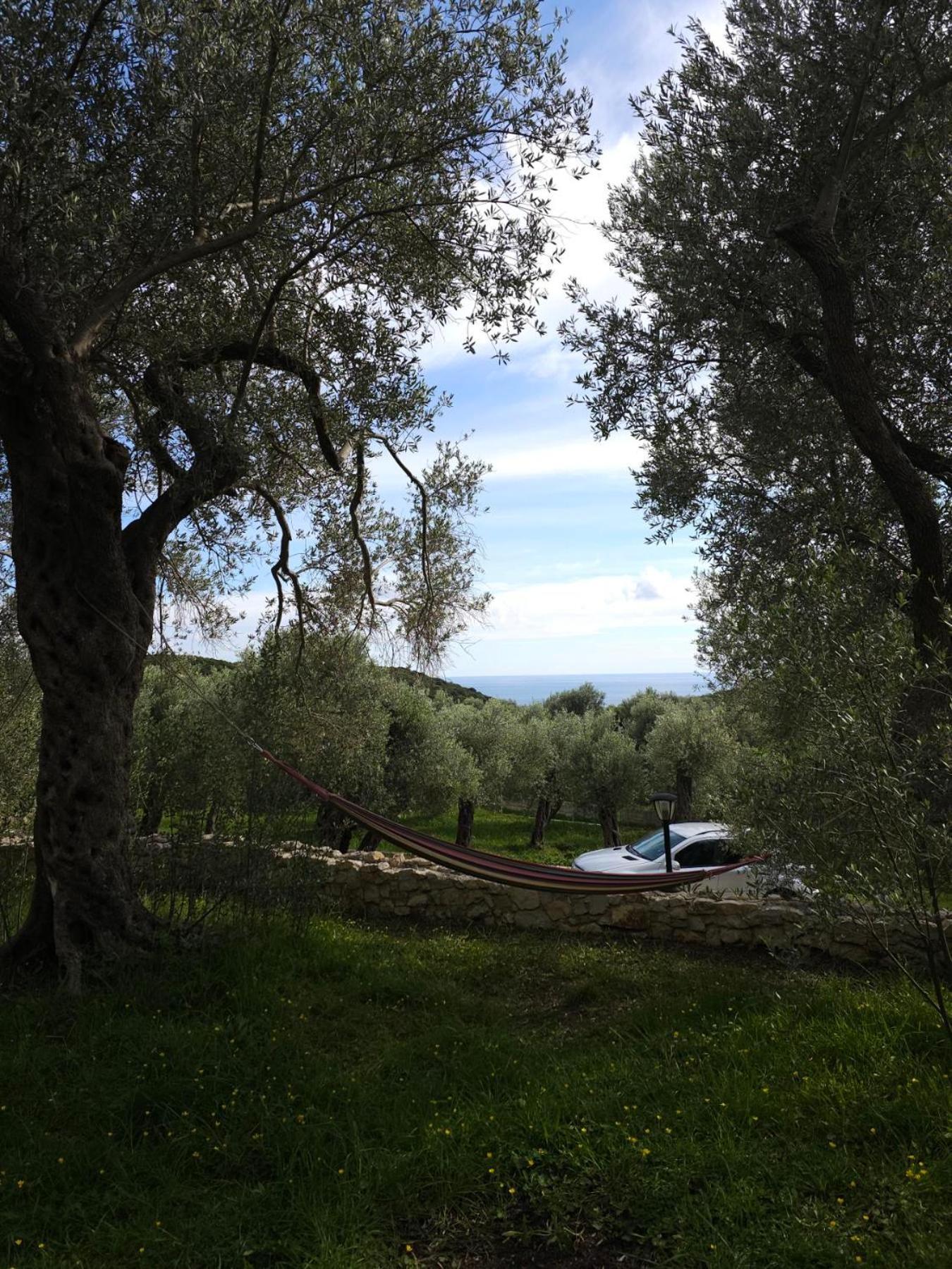 Olea Cottage Ülgün Dış mekan fotoğraf